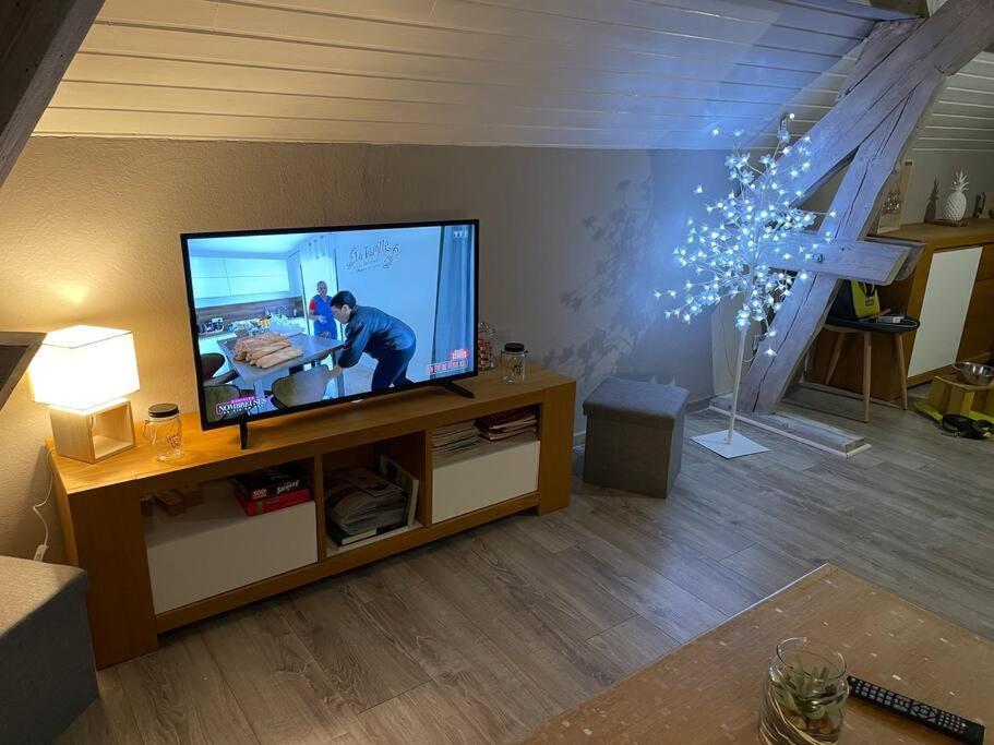 Loft Avec Jardin Διαμέρισμα Corcieux Εξωτερικό φωτογραφία