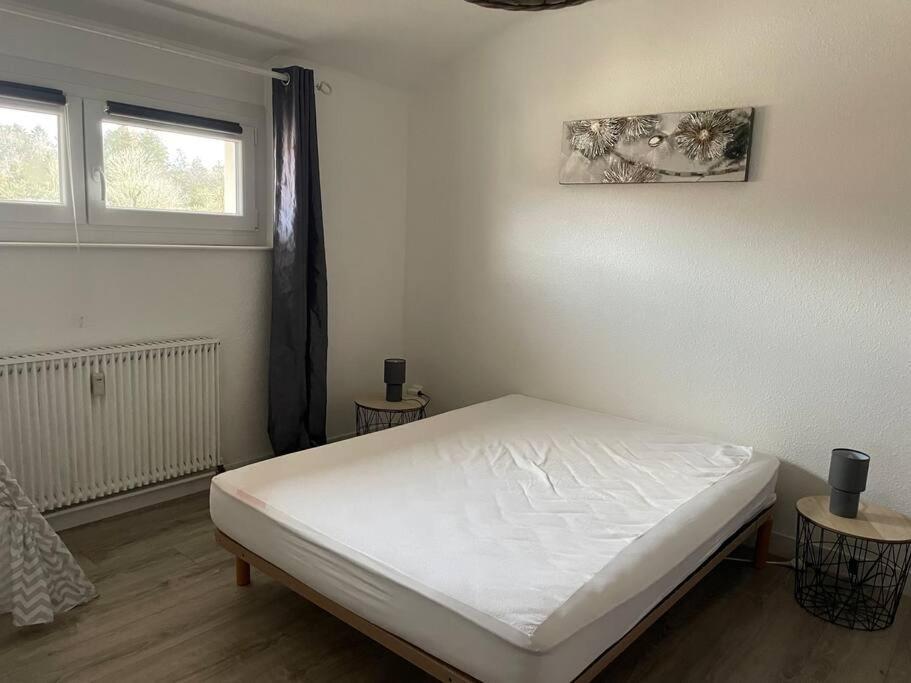 Loft Avec Jardin Διαμέρισμα Corcieux Εξωτερικό φωτογραφία