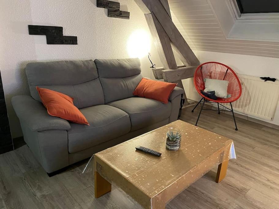 Loft Avec Jardin Διαμέρισμα Corcieux Εξωτερικό φωτογραφία